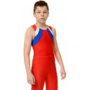 Спортивная гимнастика, акробатика Спортивная гимнастика, акробатика